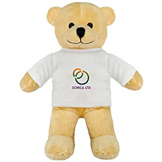 Teddy bear in a t-shirt.