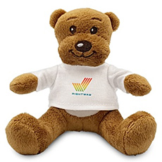 Teddy bear in a t-shirt.